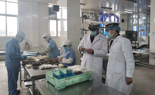 強化線上服務，鎮(zhèn)海海關護航食品農(nóng)產(chǎn)品出口