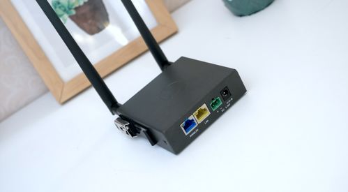 百元級工業路由新選擇 蒲公英R300A 4G上網與智能組網搭建評測